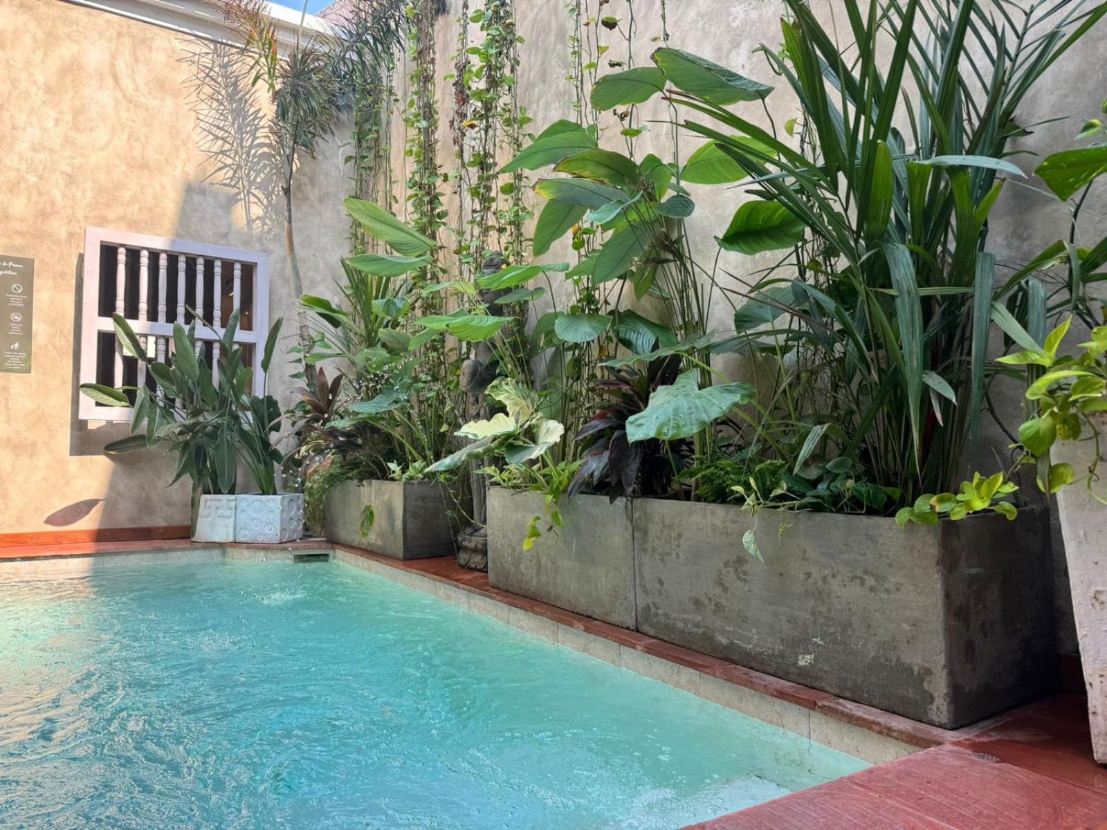 Moet Cartagena Hotel Boutique Adutls Only Buitenkant foto